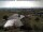Webcam in Rickenbach (Hotzenwald), 21.1 km entfernt