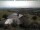 Webcam in Rickenbach (Hotzenwald), 23.1 km
