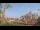 Webcam in Milan, 0.2 mi away
