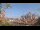 Webcam in Milan, 0.2 mi away