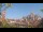 Webcam in Milan, 5.3 mi away
