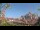 Webcam in Milan, 0.2 mi away