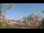 Webcam in Milan, 8.4 mi away