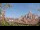 Webcam in Milano, 8 km