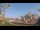 Webcam in Milan, 49.9 km