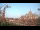 Webcam in Milan, 0.2 mi away