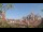 Webcam in Milan, 11.1 mi away