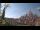 Webcam in Milan, 0.2 mi away