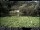 Webcam in Wetter (Ruhr), 14.4 km