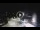 Webcam in Canazei, 0.4 km