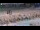 Webcam in Philipsburg, Sint Maarten, 12 mi away