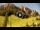 Webcam in Colfosco, 1.3 km entfernt