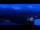 Webcam in Madonna di Campiglio, 6.7 mi away