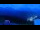 Webcam in Madonna di Campiglio, 8.9 km