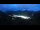 Webcam in Oberlech, 1.7 mi away