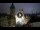 Webcam in Prag, 0.5 km entfernt