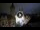 Webcam in Prag, 0 km entfernt