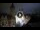 Webcam in Praga, 0 km