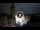 Webcam in Praga, 0.9 km