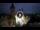 Webcam in Prag, 0 km