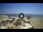 Webcam in Numana, 4 km entfernt