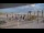 Webcam in Fort Myers Beach, Florida, 7.8 mi away