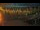 Webcam in Fort Myers Beach, Florida, 19 km