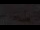 Webcam in Warth, 4.1 km entfernt