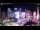 Webcam in Buenos Aires, 1.4 km