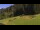Webcam in Going am Wilden Kaiser, 3.5 km