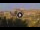 Webcam in Rom, 1 km entfernt