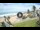 Webcam in Ballito, 0.1 km