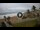 Webcam in Ballito, 1.5 km entfernt