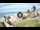 Webcam in Ballito, 14.2 mi away