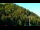 Webcam in Szczawnica, 11.3 km