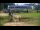 Webcam in Zieleniec, 0.4 mi away