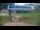 Webcam in Zieleniec, 0 mi away