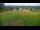 Webcam in Zieleniec, 1 km