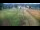 Webcam in Zieleniec, 0 km