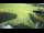 Webcam in Zieleniec, 0.4 mi away