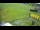 Webcam in Zieleniec, 0.4 mi away