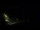Webcam in Karpacz, 0 mi away