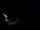 Webcam in Karpacz, 0.5 mi away