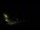 Webcam in Karpacz, 0 km