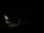 Webcam in Karpacz, 0.7 km