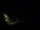 Webcam in Karpacz, 0.2 mi away