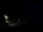 Webcam in Karpacz, 0.5 mi away
