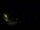 Webcam in Karpacz, 77.1 mi away