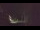 Webcam in Karpacz, 0.4 mi away
