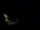 Webcam in Karpacz, 1.3 km entfernt